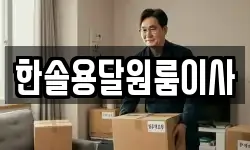한솔용달원룸이사