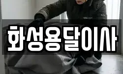 화성용달이사