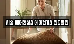 시흥 에어컨청소 에어컨가스 윈드클린