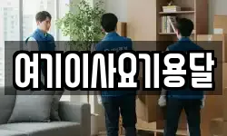 여기이사요기용달