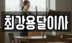 최강용달이사