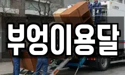 부엉이용달