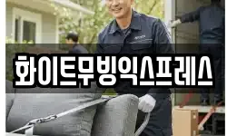 화이트무빙익스프레스