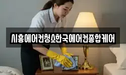 시흥에어컨청소한국에어컨종합케어