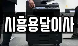 시흥용달이사