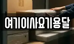 여기이사요기용달