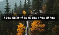 용달이사.원룸이사.소형이사.사무실이사.보관이사.반포장이사