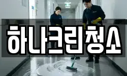 하나크린청소