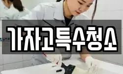 가자고특수청소