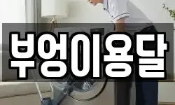 부엉이용달