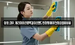 삼성,대우,캐리어시스템벽걸이스탠드천장형에어컨청소업체비용