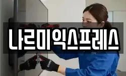나르미익스프레스