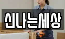 신나는세상