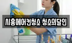 시흥에어컨청소 청소의달인
