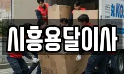 시흥용달이사