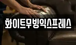 화이트무빙익스프레스
