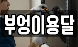 부엉이용달