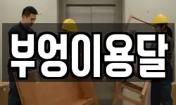 부엉이용달