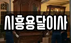 시흥용달이사