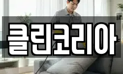 클린코리아