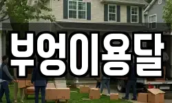 부엉이용달