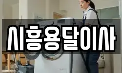 경기 시흥시 포동 이사,용달이사,포장이사,원룸이사,보관이사
