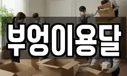 부엉이용달