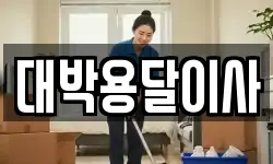 대박용달이사