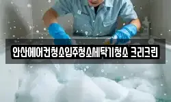 안산에어컨청소입주청소세탁기청소 크리크린
