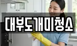 대부도개미청소