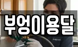 부엉이용달