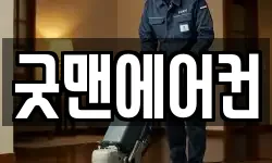 굿맨에어컨