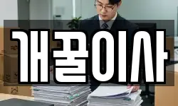 개꿀이사
