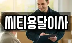 씨티용달이사