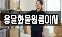 용달화물원룸이사