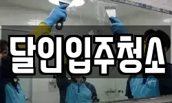 달인입주청소