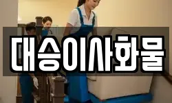 대승이사화물