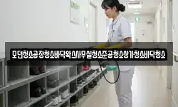 모던청소공장청소바닥왁스사무실청소준공청소상가청소바닥청소