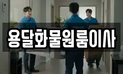 용달화물원룸이사