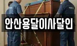 안산용달이사달인