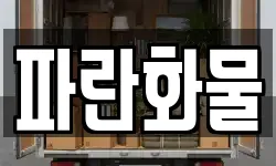 파란화물