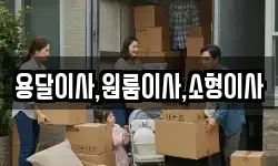 용달이사,원룸이사,소형이사