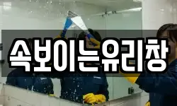속보이는유리창
