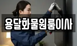 용달화물원룸이사