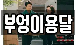 부엉이용달
