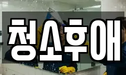 청소후애