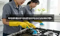 특수청소화재청소바닥청소공장청소사무실청소준공청소예초대행집
