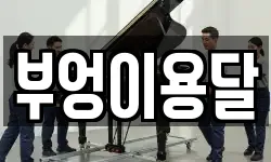 부엉이용달