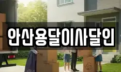 안산용달이사달인