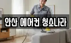 안산 에어컨 청소나라